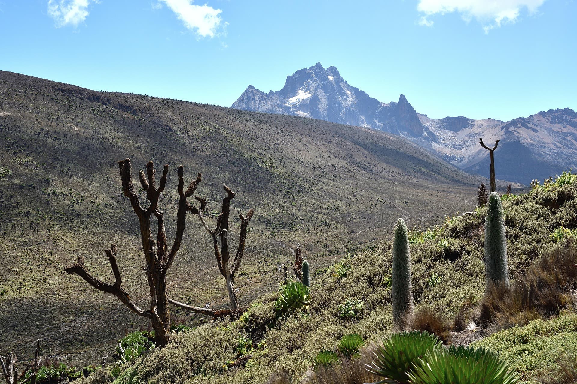 Batian and Nelion, the twin peaks of Mount Kenya